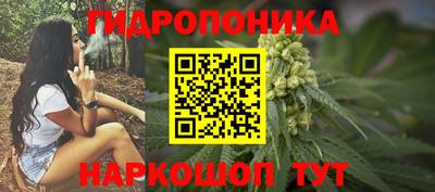 стаф Кандалакша