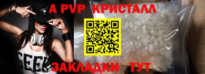 стаф Кандалакша