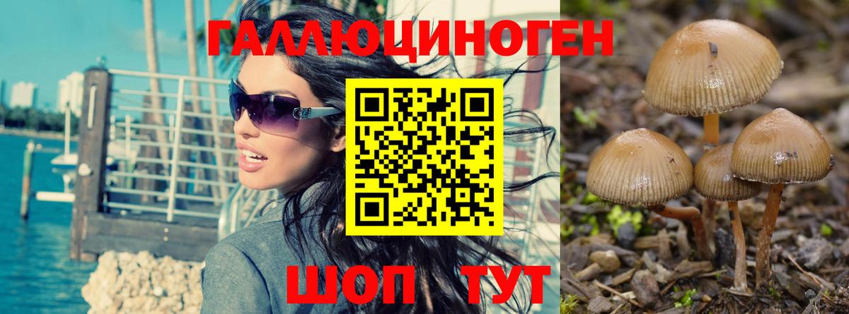 Кстово  Галлюциногенные грибы MAGIC MUSHROOMS  Вход с VPN 